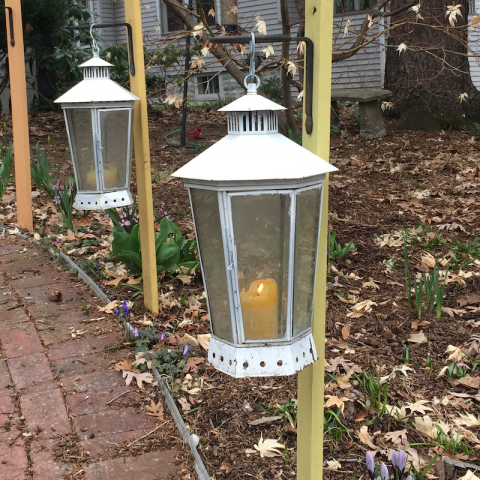 Little Local Joys: Uniting with Light