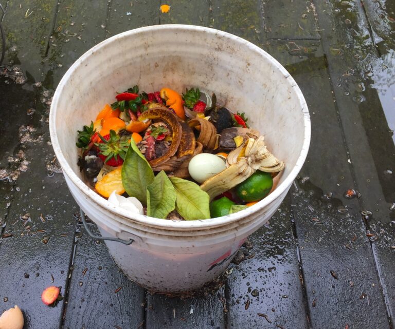 Area Composters Share the Dirt on Their Dirt
