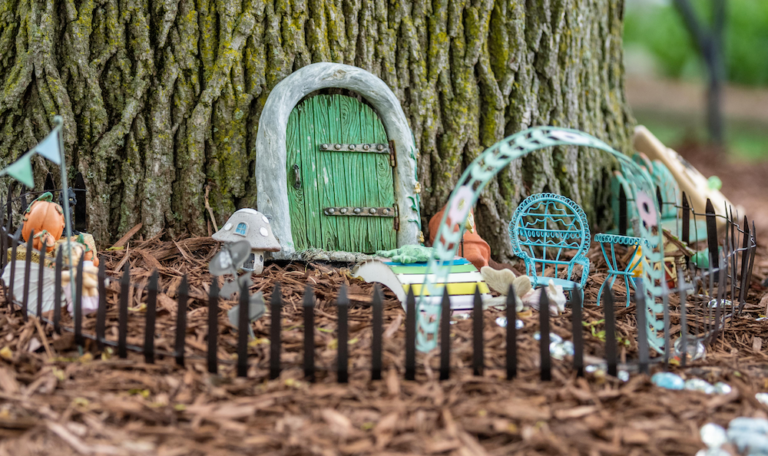 Little Local Joys: The Fairy Gardens of East Lansing